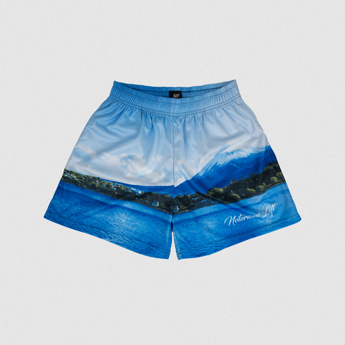 LIMITED EDITION MESH SHORTS MT. FUJI – Notorious Lift